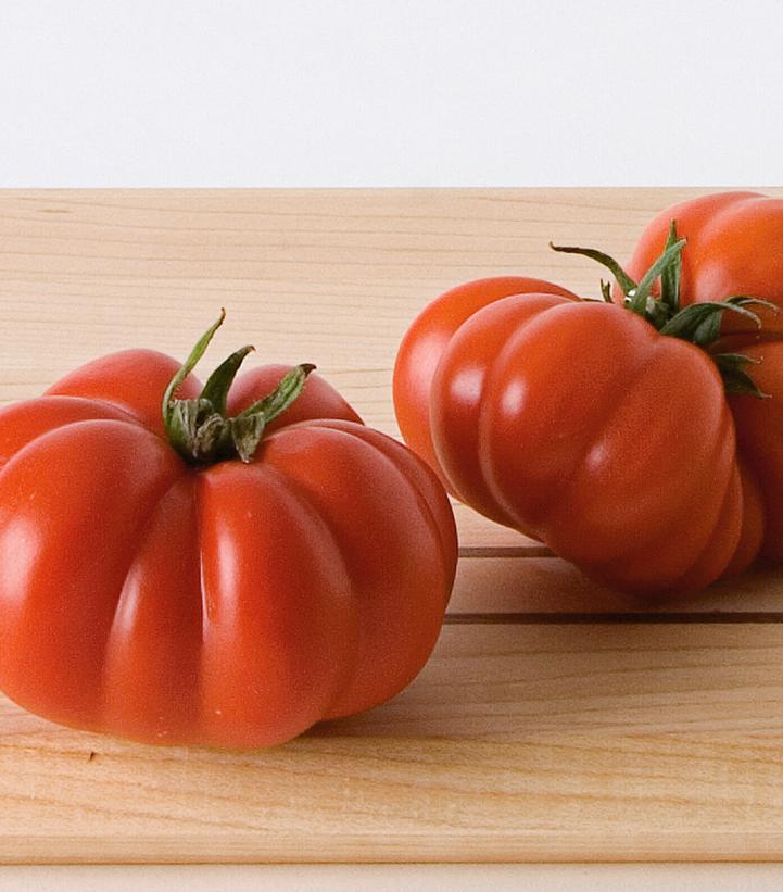 TOMATO `COSTOLUTO GENOVESE` (SLICER)