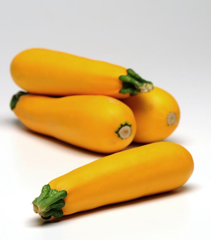 ZUCCHINI `EASY PICK GOLD`