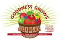 KALE EDIBLE `TOSCANO`