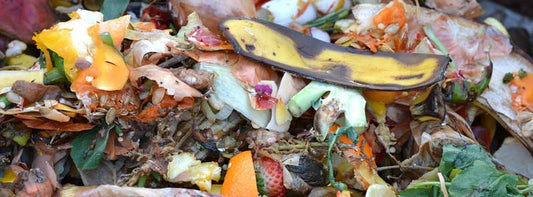 Composting in the Fall: A Comprehensive Guide