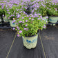 ASTER O. `OCTOBER SKIES`