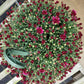 MUMS PINK-Garden Mum
