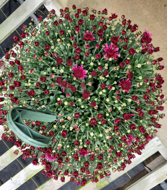 MUMS PINK