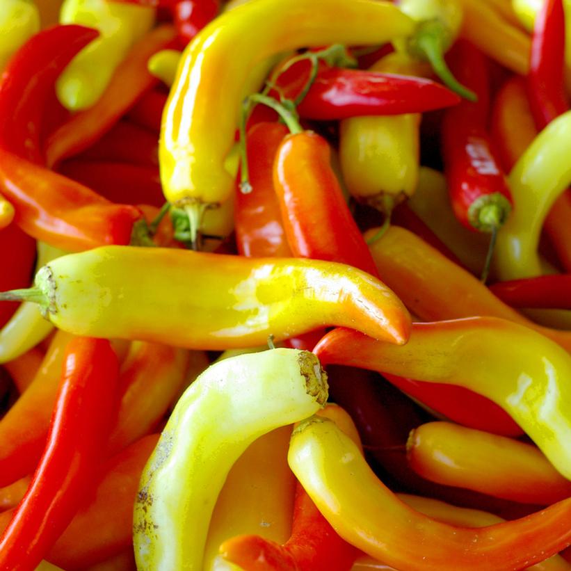 PEPPER `HOT BANANA` (HOT)