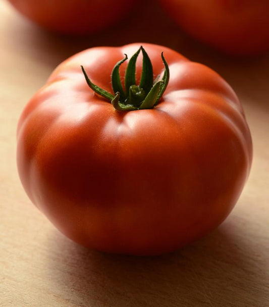 TOMATO HM `GENUWINE` (SLICER)
