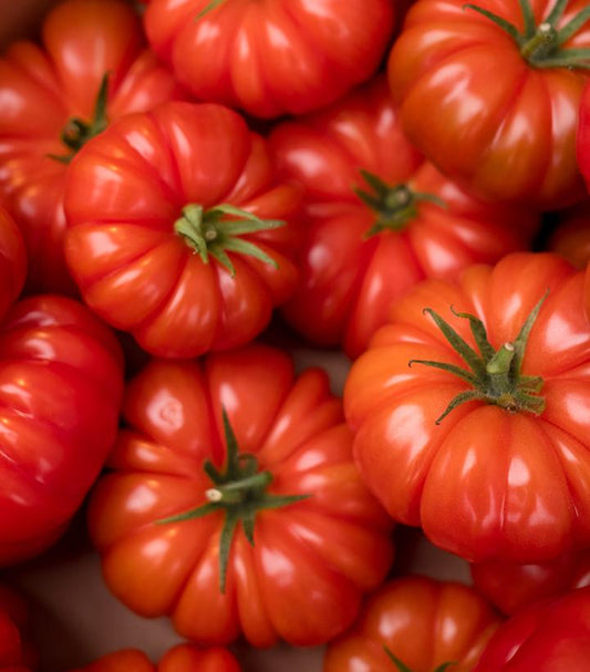 TOMATO `BUFFALOSTEAK` (SLICER)