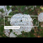 VIBURNUM CARLESII COM. `SPICE BABY`