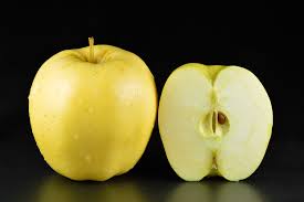 MALUS `YELLOW DELICIOUS` (APPLE) GROW BAG